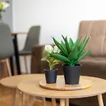 Zen *