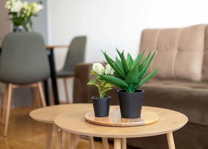 Jednosoban stan Zen *